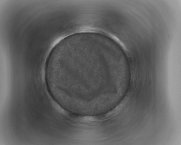 X0000110881463200907091411