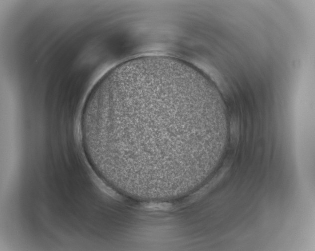 X0000110881466200907091411
