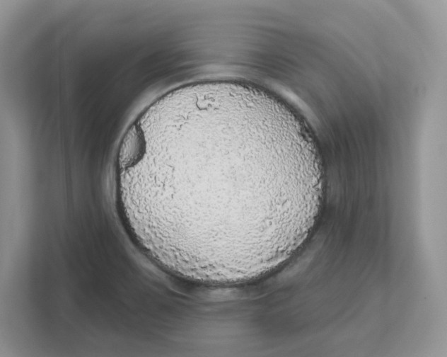 X0000110881467200907091411