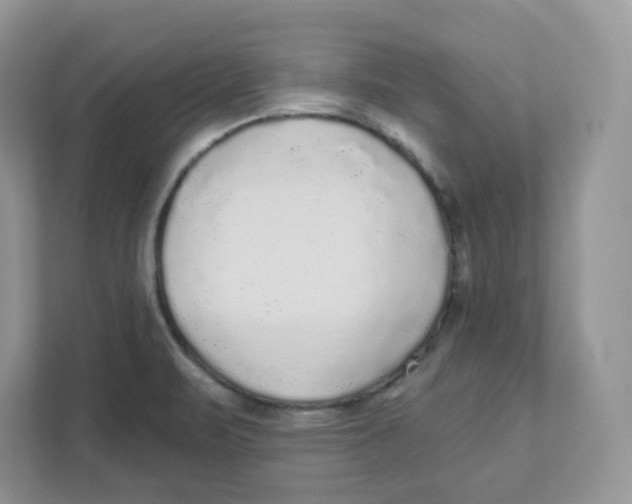 X0000110881471200907091411