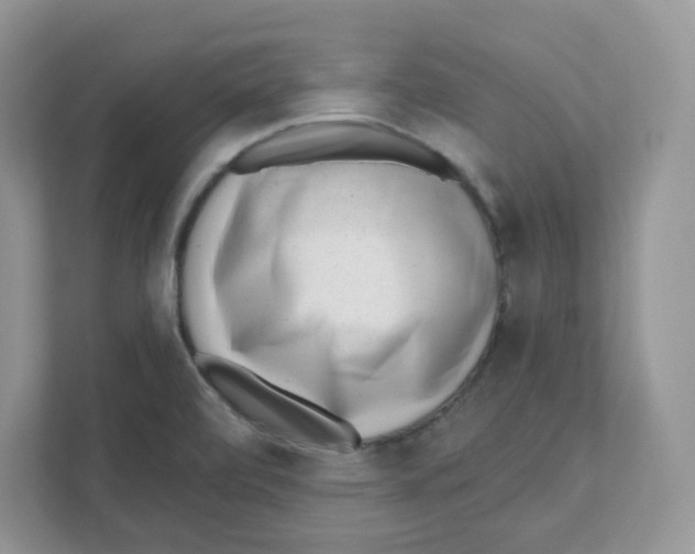 X0000110881472200907091411