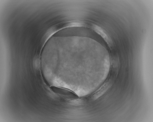 X0000110881473200907091411