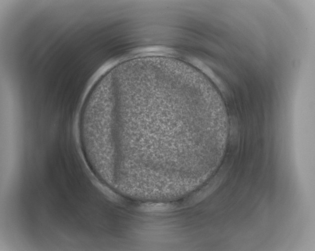 X0000110881474200907091411