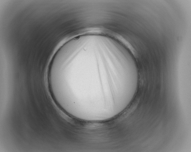 X0000110881475200907091411