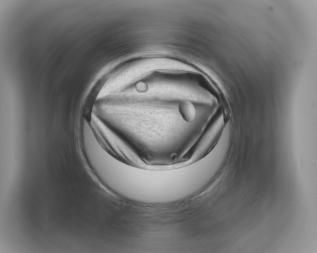 X0000110881477200907091411