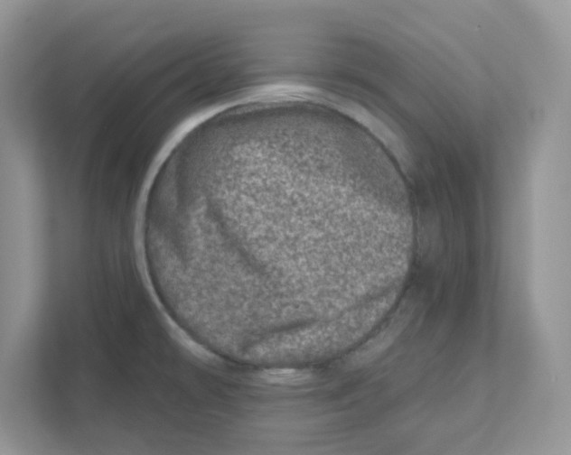 X0000110881478200907091411