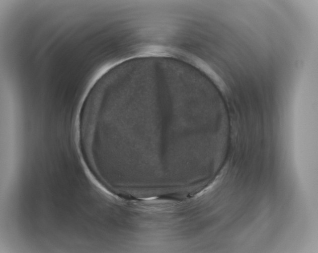 X0000110881479200907091411