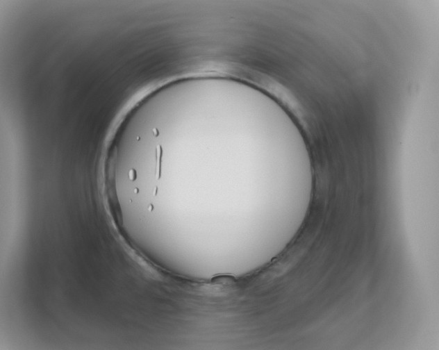 X0000110881480200907091411