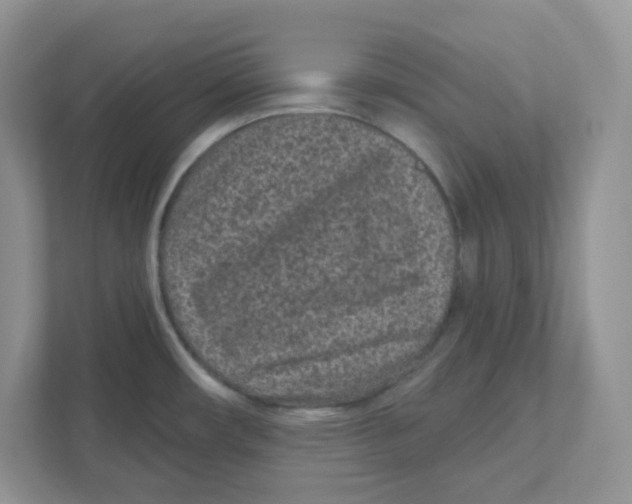 X0000110881482200907091411