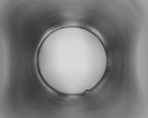 X0000110881483200907091411