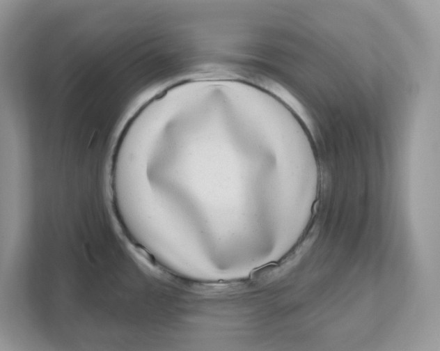 X0000110881485200907091411