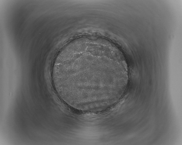 X0000110881489200907091411