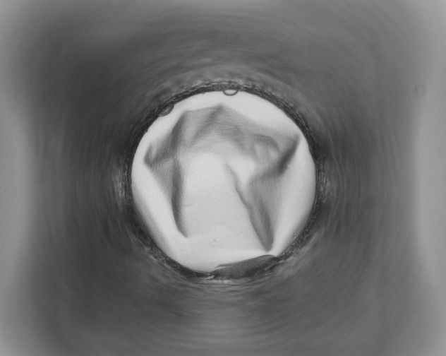 X0000110881490200907091411