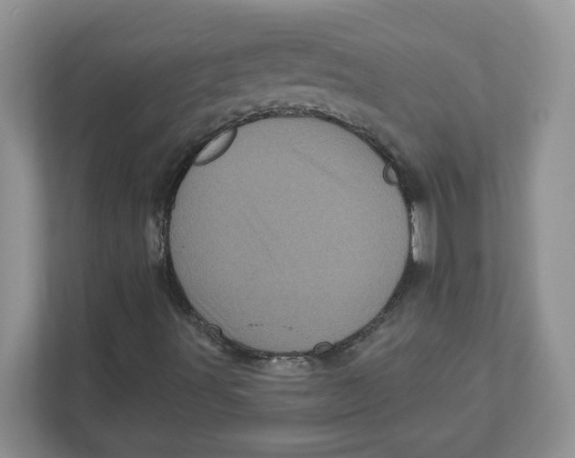 X0000110881491200907091411