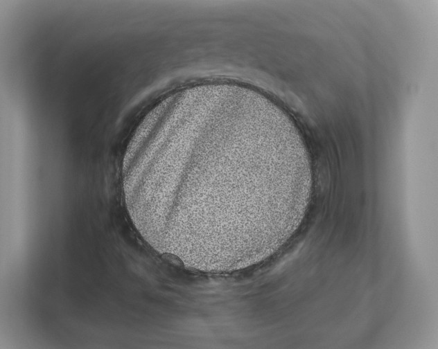 X0000110881494200907091411