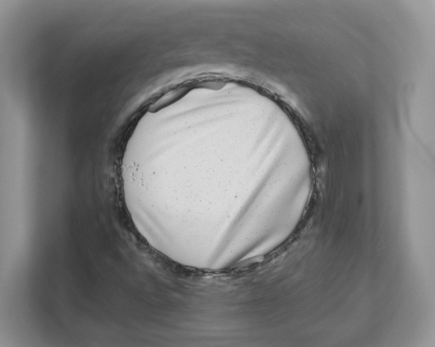 X0000110881496200907091411