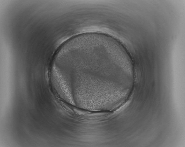 X0000110881497200907091411