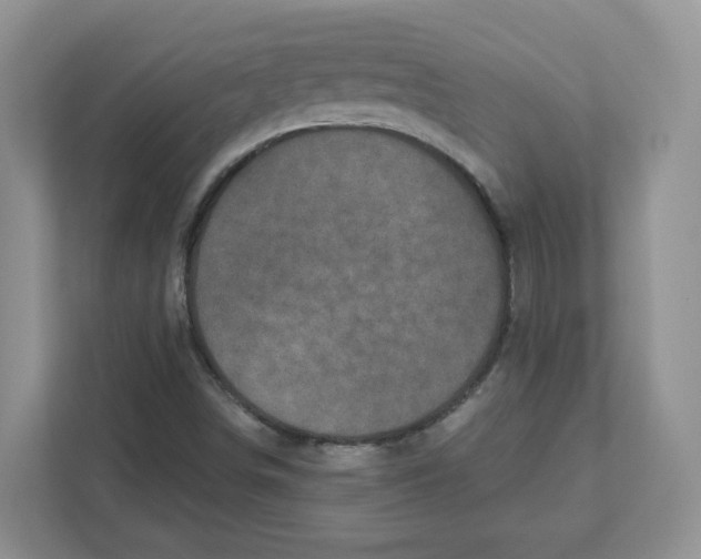 X0000110881498200907091411