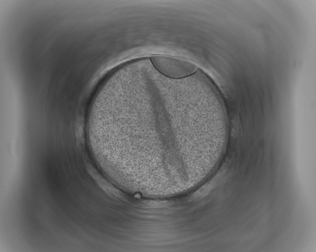 X0000110881499200907091411
