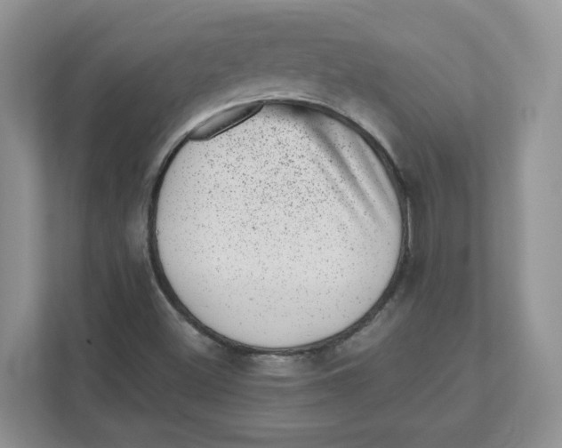 X0000110881500200907091411