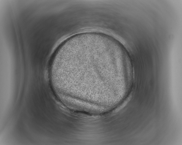 X0000110881501200907091411