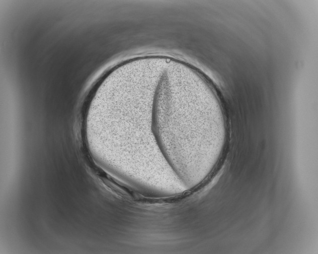 X0000110881502200907091411