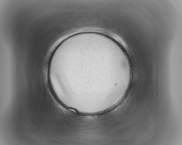 X0000110881504200907091411