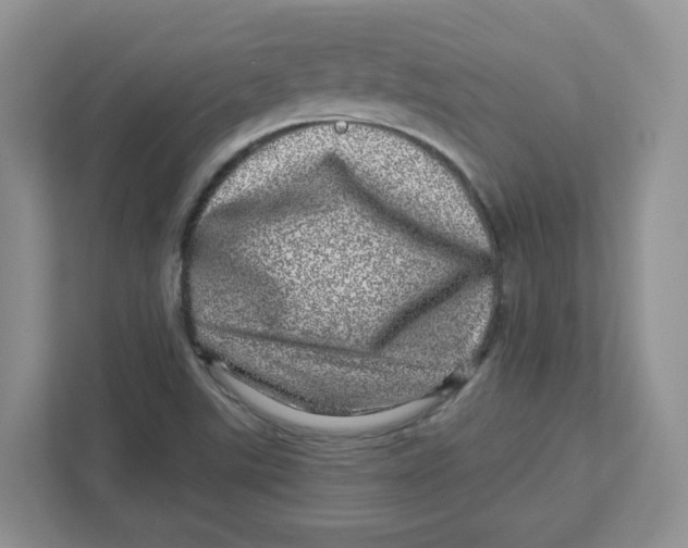X0000110881507200907091411