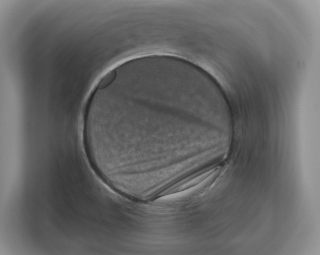 X0000110881508200907091411