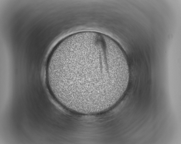 X0000110881511200907091411