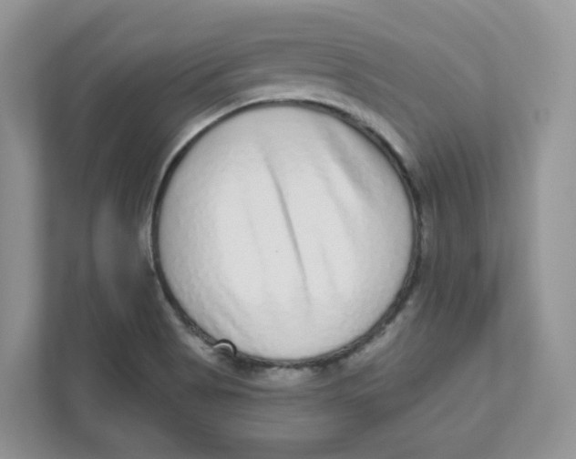 X0000110881513200907091411