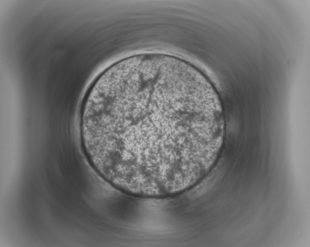 X0000110881514200907091411