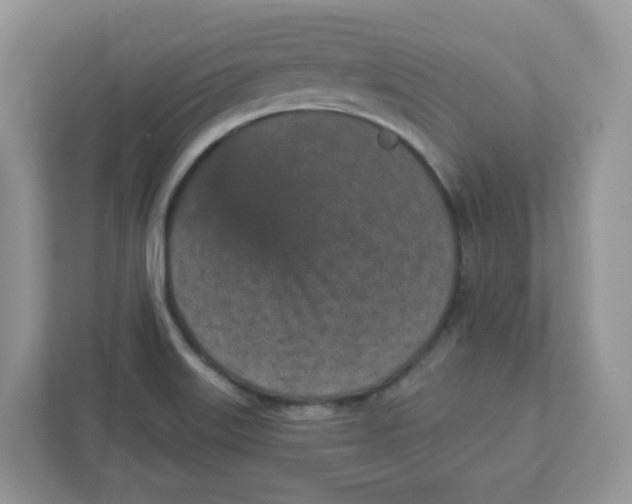 X0000110881515200907091411