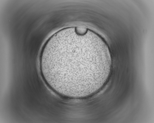 X0000110881517200907091411