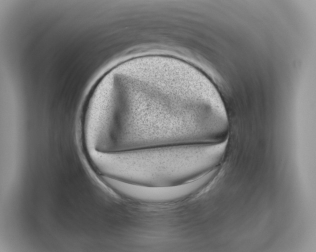 X0000110881518200907091411