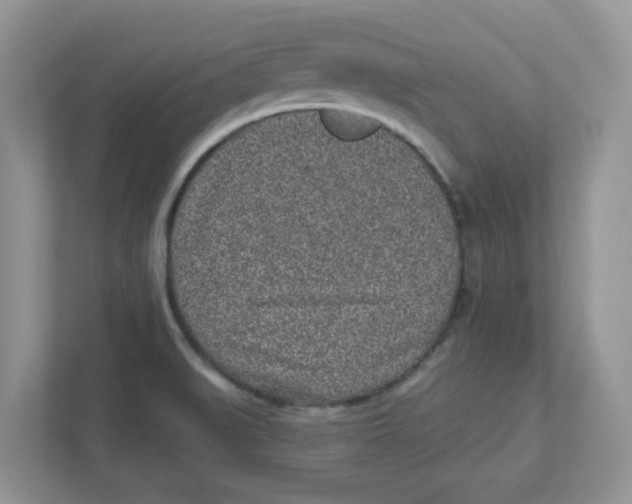 X0000110881519200907091411