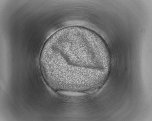 X0000110881521200907091411