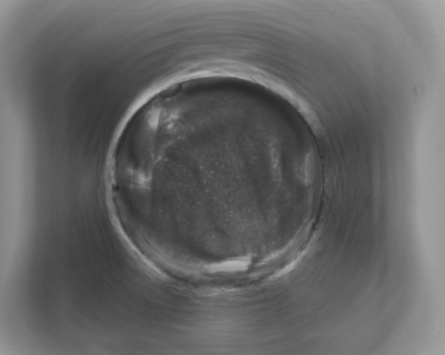 X0000110881522200907091411