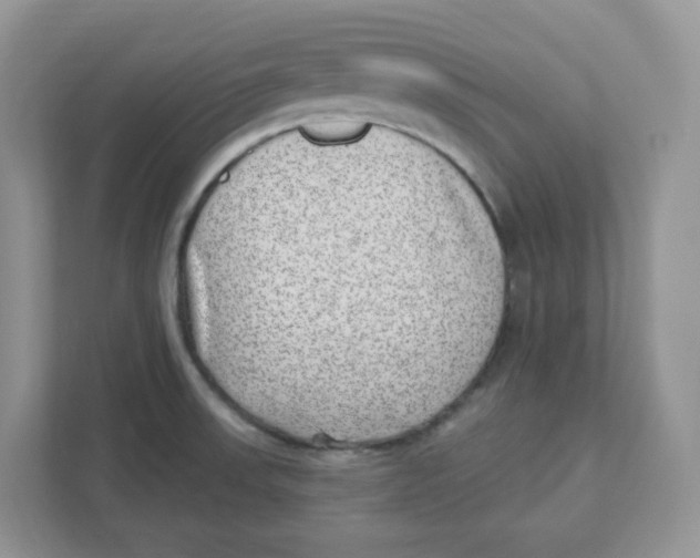 X0000110881523200907091411
