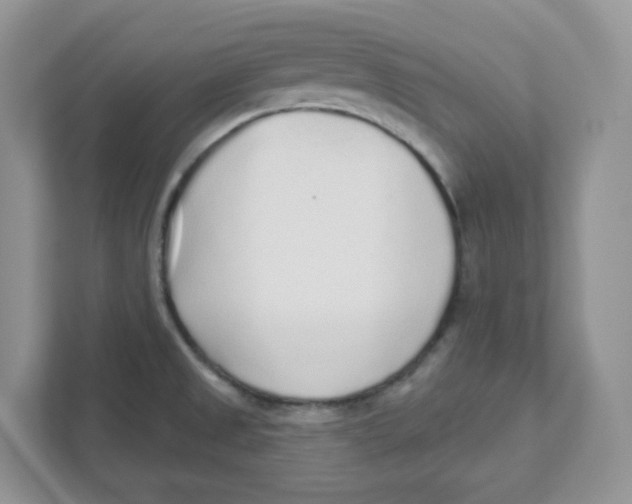 X0000110881525200907091411