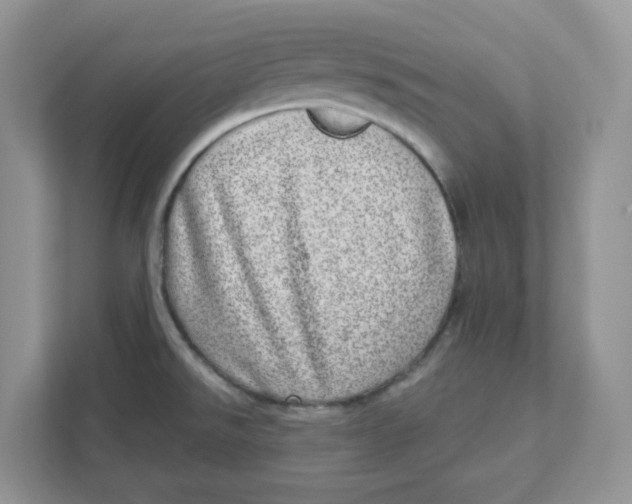 X0000110881526200907091411