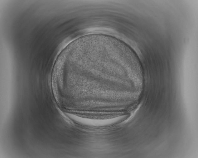 X0000110881529200907091411