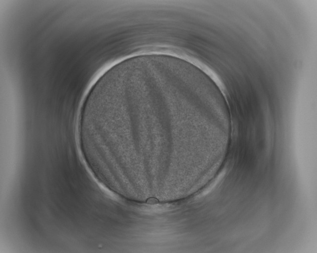 X0000110881533200907091411