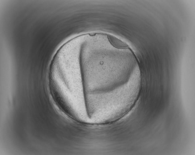 X0000110881534200907091411