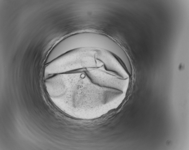 X0000110880001200907161513