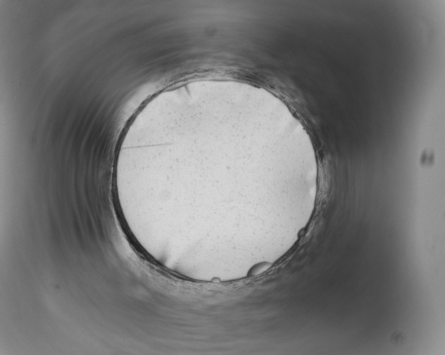 X0000110880003200907161513