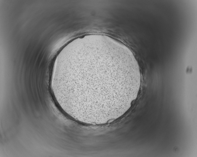 X0000110880005200907161513