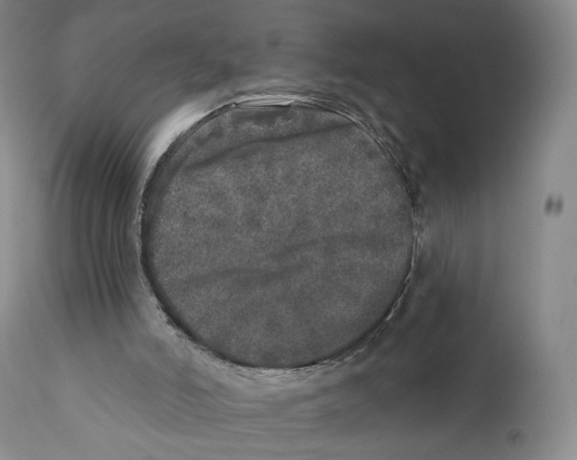 X0000110880006200907161513