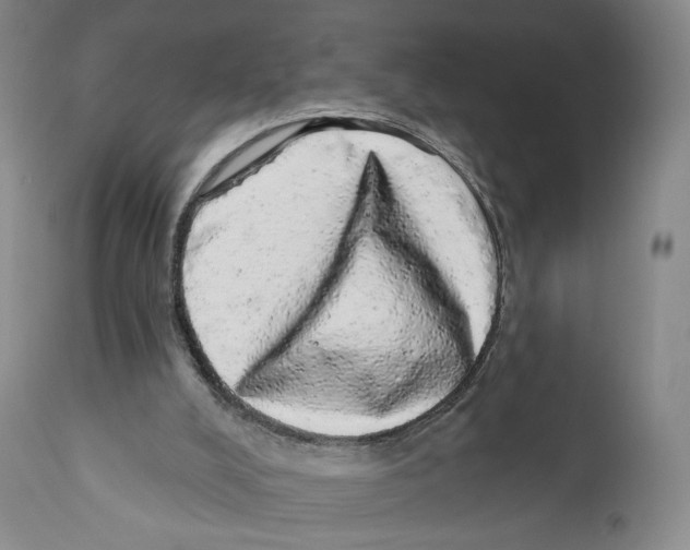 X0000110880008200907161513