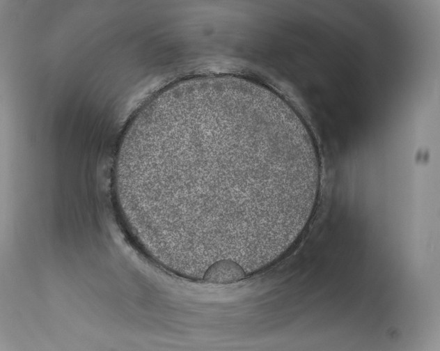 X0000110880010200907161513